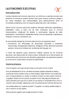 Vista previa - Juegos / Gamificación - FUNCIONAMIENTO EJECUTIVO. Juego para trabajar las funciones ejecutivas - página 1