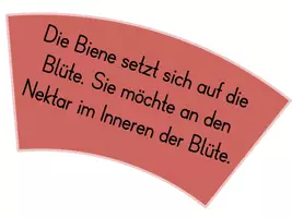 Vorschau - Präsentationen/Tafelbilder - Legekreis Kirsche - Von der Blüte zur Frucht - Seite 3