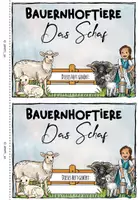 Vorschau - Arbeitsblätter - Bauernhoftiere: Miniheft und Faltheft "Das Schaf" (Kl. 1/2) - Seite 1