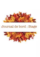 Aperçu - Fiches - Journal de bord pour un stage de 5 semaines - Page de couverture