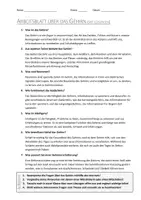 Vorschau - Arbeitsblätter - AB mit Fragen zum Thema "Gehirn" + Lösungsblatt + Infografik - Seite 2