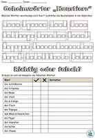Aperçu - Feuilles d'exercices - Entraînement à l'écriture - Exercices mixtes "Haustiere" Allemand - Page 1