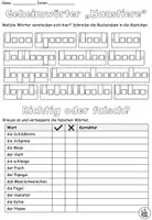 Aperçu - Feuilles d'exercices - Entraînement à l'écriture - Exercices mixtes "Haustiere" Allemand - Page 3