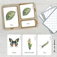 Vista previa - Juegos / Gamificación - CICLO DE LA VIDA DE LA MARIPOSA - TARJETAS MONTESSORI. - Portada