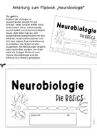 Vorschau - Arbeitsblätter - Minibuch Flipbook Grundlagen Neurobiologie Nervenzelle - Seite 1