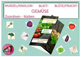 Vorschau - Arbeitsblätter - WURZEL- BLATT- FRUCHTGEMÜSE? - Faltbüchlein - Deckblatt
