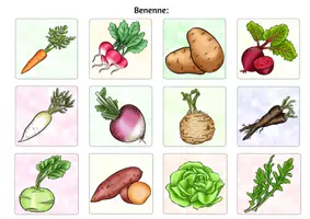 Vorschau - Arbeitsblätter - WURZEL- BLATT- FRUCHTGEMÜSE? - Faltbüchlein - Seite 2