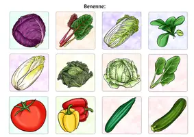 Vorschau - Arbeitsblätter - WURZEL- BLATT- FRUCHTGEMÜSE? - Faltbüchlein - Seite 3