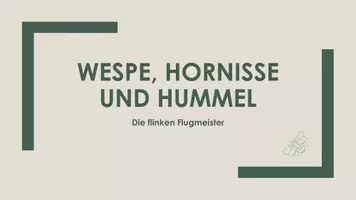 Vorschau - Präsentationen/Tafelbilder - Die Wespe, Hornisse, Hummel (Präsentation und H5P) - Deckblatt
