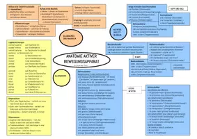 Vorschau - Unterrichtsreihen - Anatomie und Physiologie, komplett Zusammenfassung - Seite 3