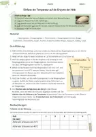 Vorschau - Stundenentwürfe - Enzymaktivität Hefe, Temperaturabhängigkeit Enzyme, Entwurf - Seite 2