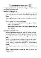 Vista previa - Juegos / Gamificación - Familias de extranjerismos. Los extranjerismos - página 2