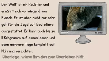Vorschau - Unterrichtsreihen - Der Wolf - Anpassung an den Lebensraum (Gesamtpaket) - Seite 3
