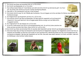 Vorschau - Spiele - Ionas Gartenwelt - Das Hochbeet - Seite 2