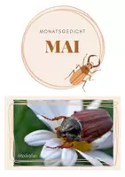 Vorschau - Unterrichtsreihen - Monatsgedicht Mai (Grundschule Klasse 3/4) Maikäfer - Seite 2