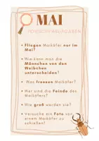 Vorschau - Unterrichtsreihen - Monatsgedicht Mai (Grundschule Klasse 3/4) Maikäfer - Seite 3