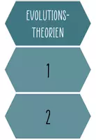 Vorschau - Spiele - Evolution Abschlussquiz/Klassenchallange - Seite 3