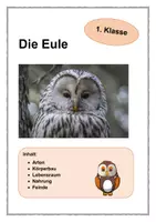 Vorschau - Arbeitsblätter - Die Eule 1. Klasse - Deckblatt