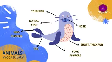 Vista previa - Tarjetas / Manipulativos - SEA ANIMALS AND THEIR BODY PARTS - página 3