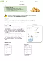Vorschau - Arbeitsblätter - Enzyme | Versuche | Einstieg und Enzymkinetik - Seite 1