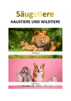 Vorschau - Stundenentwürfe - Interaktive Präsentation Säugetiere: Hund - Deckblatt