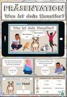 Vorschau - Interaktives Material - Erklärpräsentation "Was ist dein Haustier?" unbestimmter Artikel im Nominativ - DaZ / DaF / Deutsch - Deckblatt