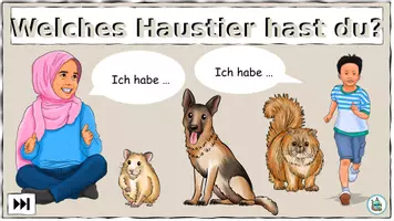Aperçu - Matériel interactif - Présentation des explications "Welches Haustier hast du?" Les articles indéfinis à l'accusatif - Français - Page 1
