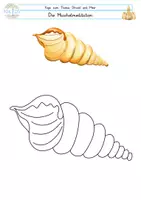 Vorschau - selbst erstellte Cliparts/Grafiken - Strand Meer Die Muschelmeditation - Seite 2