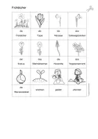 Vorschau - Fördermaterial/Inklusion - Englisch/ Deutsch/ DaZ - Frühling / Frühblüher - spring / spring flowers - Bildkarten/ flashcards - Seite 2