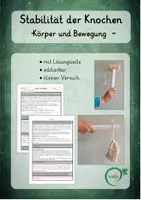 Vorschau - Arbeitsblätter - Stabilität der Knochen: kleines Experiment, editierbar, Lösung - Deckblatt