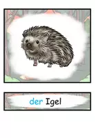 Vista previa - Tarjetas / Manipulativos - Tarjetas con imágenes y tarjetas con palabras "Tiere im Wald" Alemán - página 3