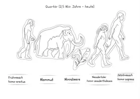 Vorschau - Mal- und Bastelvorlagen - Malvorlagen Evolution, Zeitleiste des Lebens - Seite 2