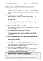 Vorschau - Arbeitsblätter - AB mit Fragen zum Thema "Hamburger" + Lösungsblatt + Infografik - Seite 2