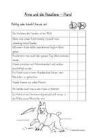 Vorschau - Arbeitsblätter - Anna und die Haustiere: 4 Arbeitsblätter - SU 1./2. Klasse - Seite 3