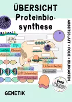 Vorschau - Arbeitsblätter - Arbeitsblatt Bildkarten Genetik Proteinbiosynthese Translation Transkription - Deckblatt
