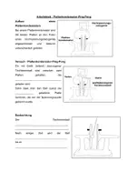 Vorschau - Arbeitsblätter - Arbeitsblatt - Plattenkondensator-Ping-Ping - Deckblatt