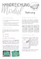 Vorschau - Unterrichtsreihen - Schmetterlinge - Nahrung von Raupen und Faltern - Seite 1