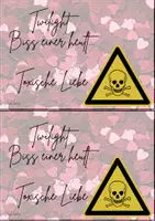 Vorschau - Arbeitsblätter - Philosophieren mit Filmen: Twilight - toxische Beziehungen - Seite 2