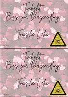 Vorschau - Arbeitsblätter - Philosophieren mit Filmen: Twilight - toxische Beziehungen - Seite 3