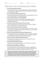 Vorschau - Arbeitsblätter - AB mit Fragen zum Thema "Himmelsscheibe von Nebra" + Lösungsblatt + Infografik - Seite 2