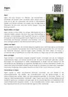 Vorschau - Arbeitsblätter - Algen - Arbeitsblatt (Infotext und Übungen) - Deckblatt