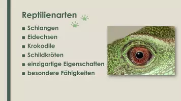 Vorschau - Präsentationen/Tafelbilder - Das Reptil (Präsentation und H5P) - Seite 1