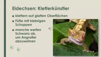 Vorschau - Präsentationen/Tafelbilder - Das Reptil (Präsentation und H5P) - Seite 3