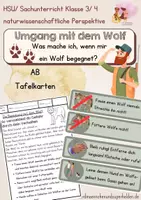 Vorschau - Arbeitsblätter - Begegnung mit dem Wolf- Richtiges Verhalten - Deckblatt