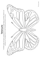 Vorschau - Mal- und Bastelvorlagen - Fehlersuche "Schmetterlinge" - Symmetrie - Seite 2