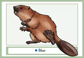 Vorschau - Arbeitsblätter - Wald und Wildtiere Bildkarten und Arbeitsblätter - Seite 2