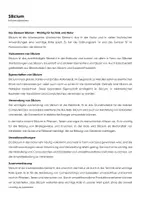 Vorschau - Arbeitsblätter - Silicium (Informationstext und Übungen) - Deckblatt