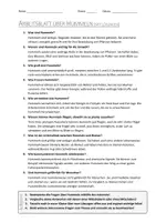 Vorschau - Arbeitsblätter - Lernposter + AB mit Fragen zum Thema "Hummeln" + Lösungsblatt + Infografik - Seite 3
