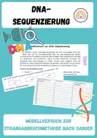 Vorschau - Arbeitsblätter - Modellversuch zur DNA-Sequenzierung - Deckblatt