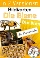 Vorschau - Präsentationen/Tafelbilder - Biene - Bildkarten & Wortkarten in 2 Versionen - Deckblatt
